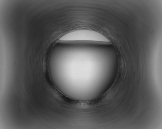 X0000085310080200703091103