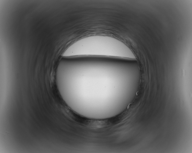 X0000085310081200703091103