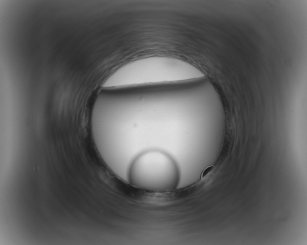 X0000085310082200703091103