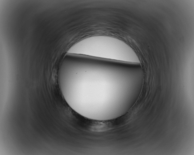 X0000085310083200703091103