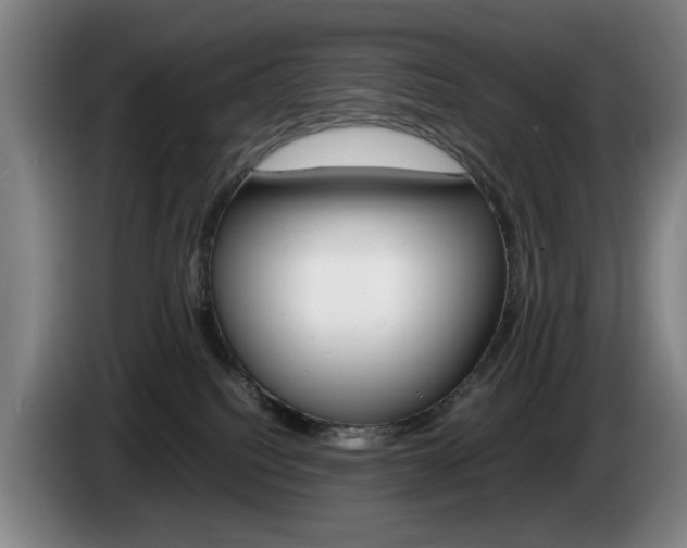 X0000085310088200703091103