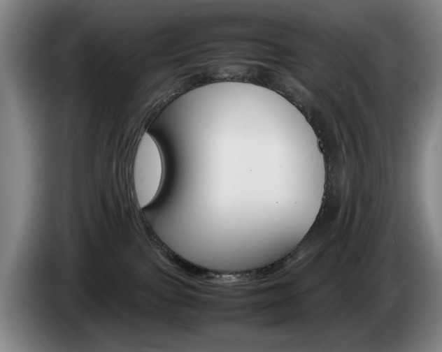 X0000085310091200703091103