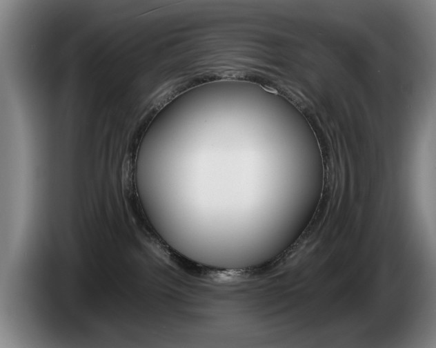 X0000085310092200703091103
