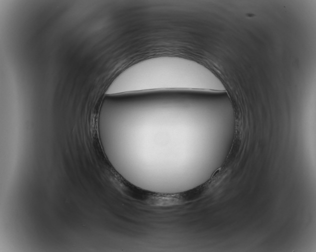 X0000085310093200703091103