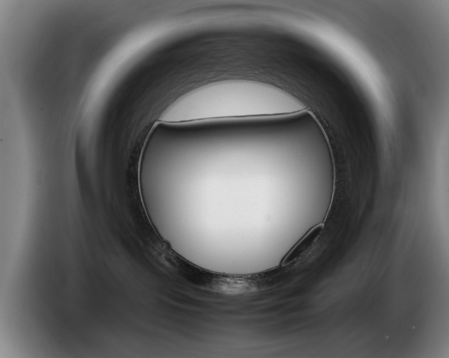 X0000085310095200703091103