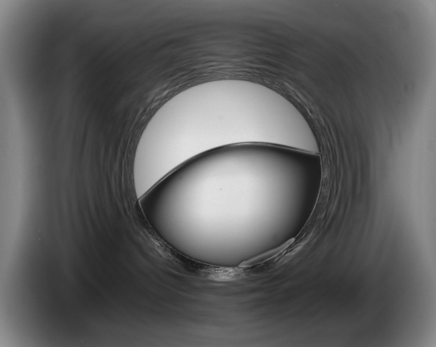 X0000085310096200703091103