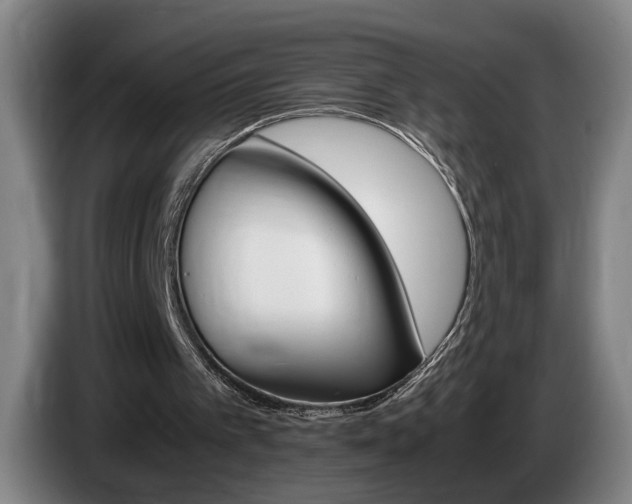 X0000085310097200703091102
