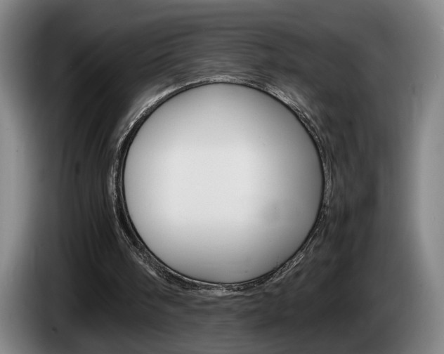 X0000085310098200703091102