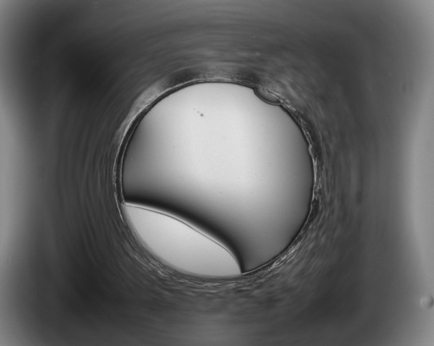 X0000085310099200703091102