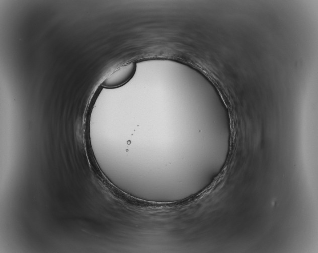 X0000085310100200703091102
