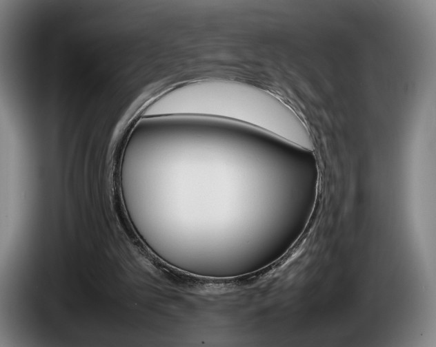 X0000085310101200703091102