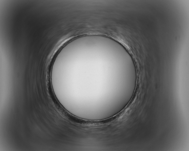 X0000085310103200703091102