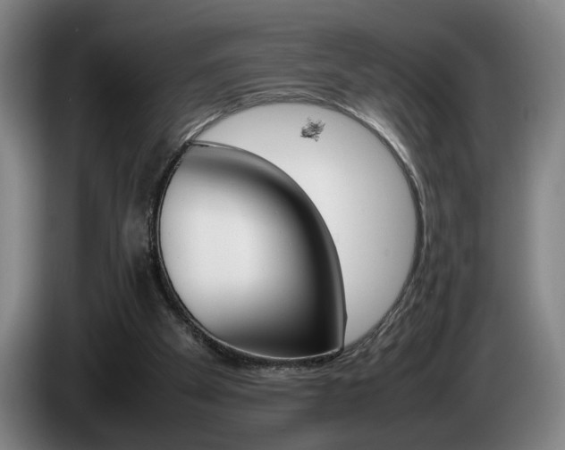 X0000085310105200703091102