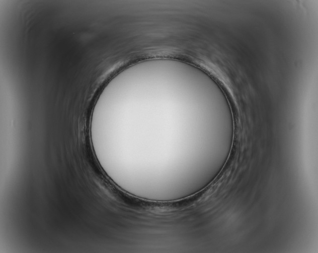 X0000085310107200703091102
