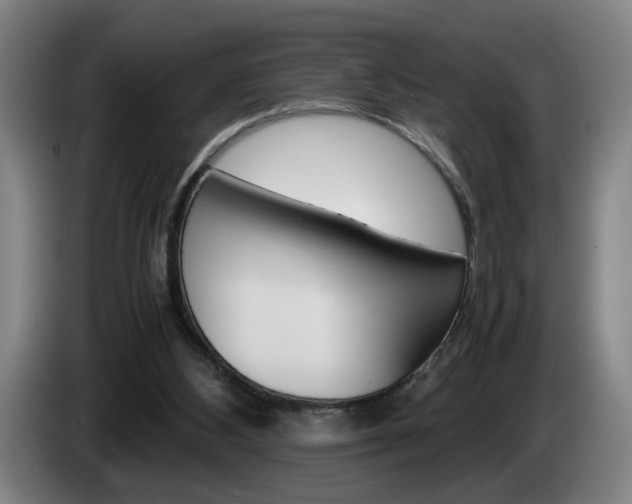 X0000085310108200703091102