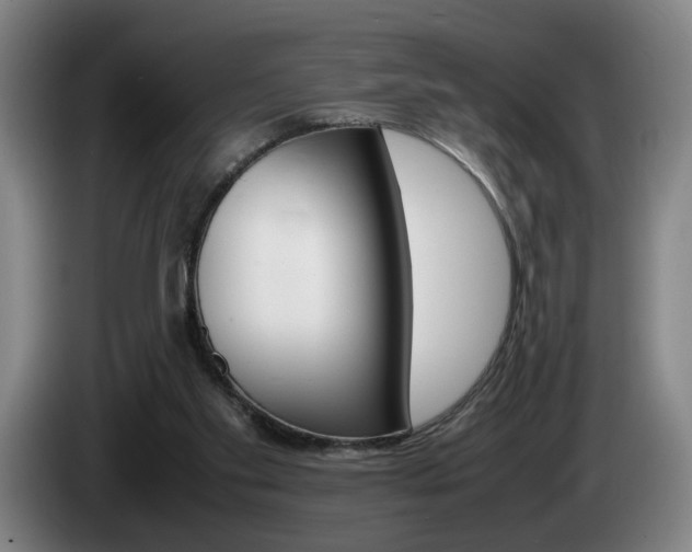 X0000085310109200703091102