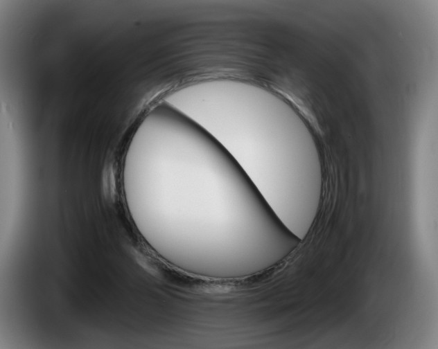 X0000085310110200703091102