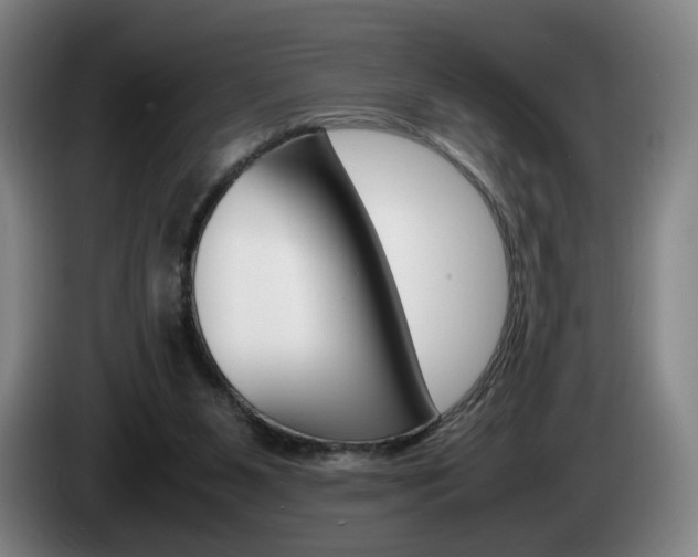 X0000085310111200703091102