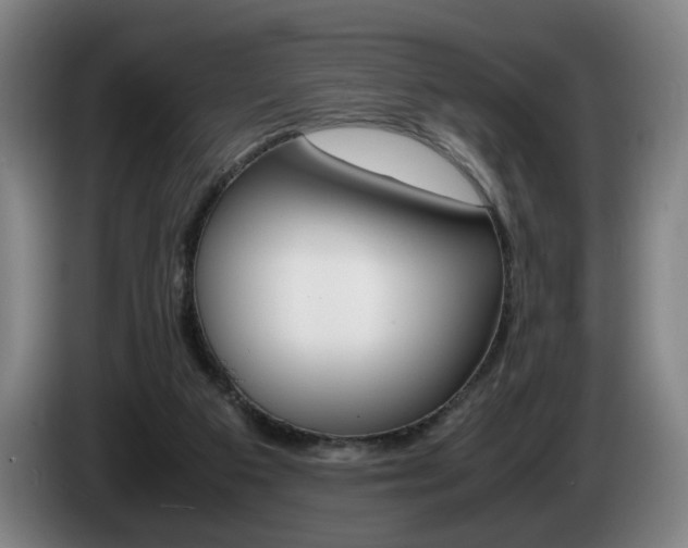 X0000085310113200703091102