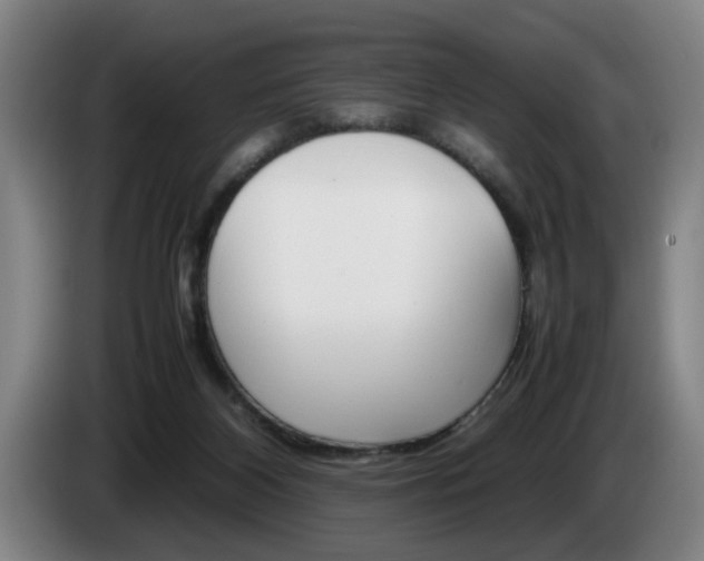 X0000085310116200703091102