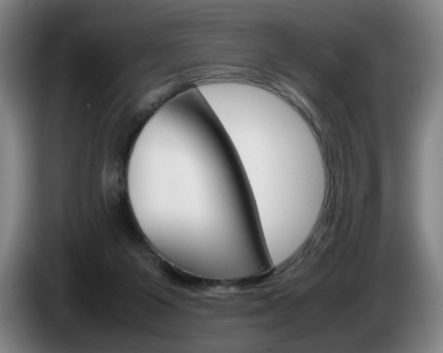 X0000085310119200703091102
