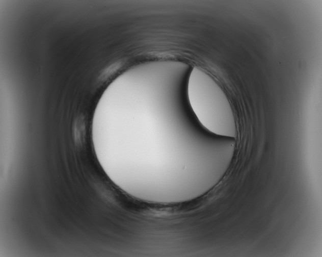 X0000085310120200703091102