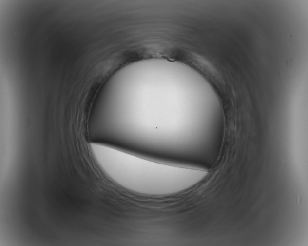 X0000085310121200703091102