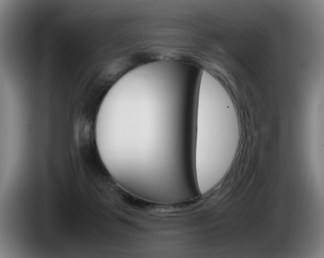 X0000085310123200703091102