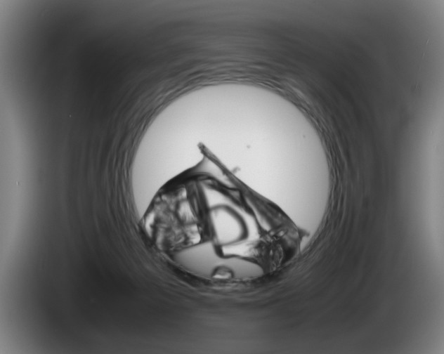 X0000085310125200703091102