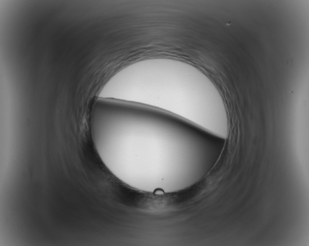 X0000085310127200703091102