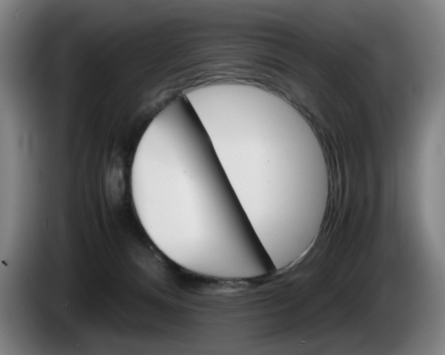 X0000085310128200703091102