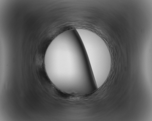 X0000085310129200703091102