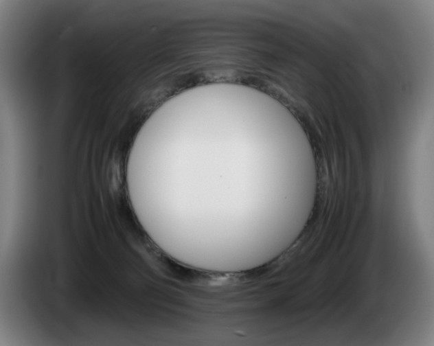 X0000085310130200703091102