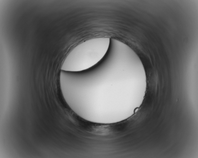 X0000085310132200703091102