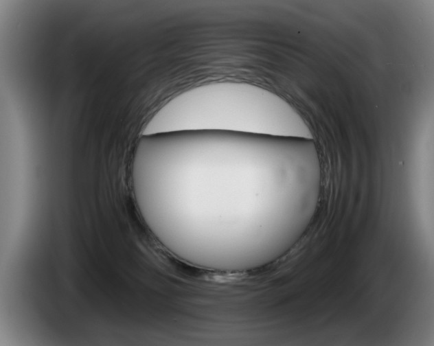 X0000085310134200703091102