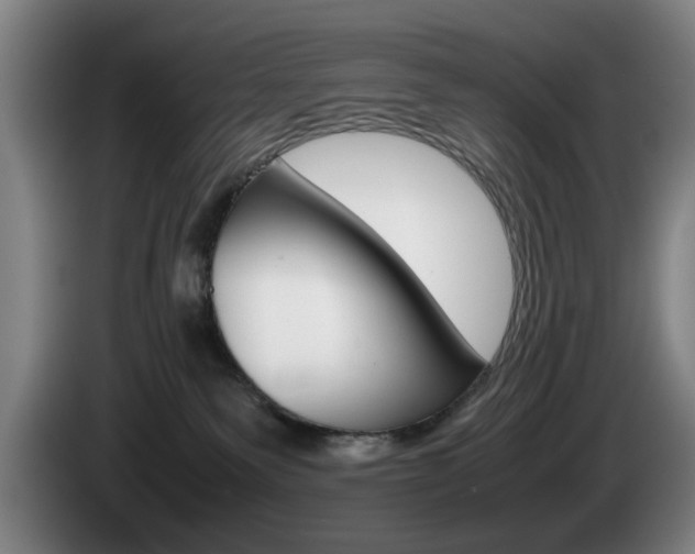 X0000085310135200703091102