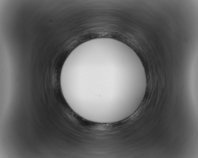 X0000085310136200703091102