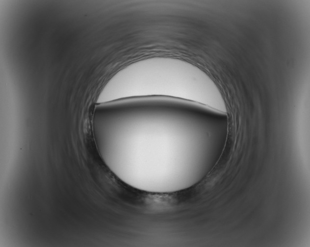 X0000085310137200703091102