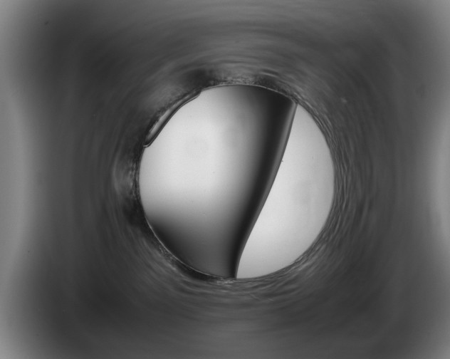X0000085310141200703091102