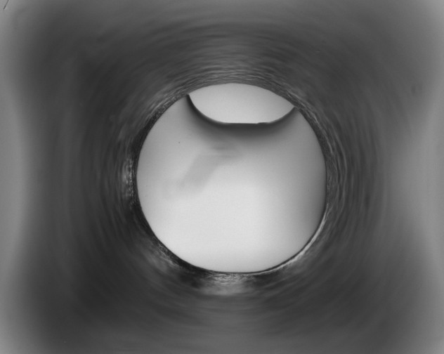 X0000085310144200703091102