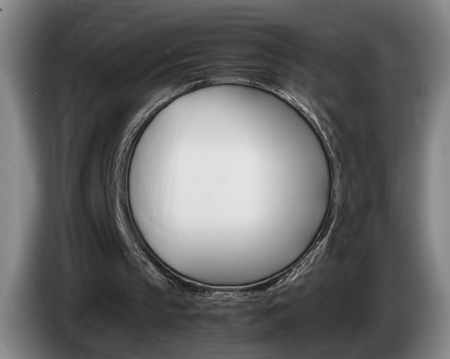 X0000085310145200703091101