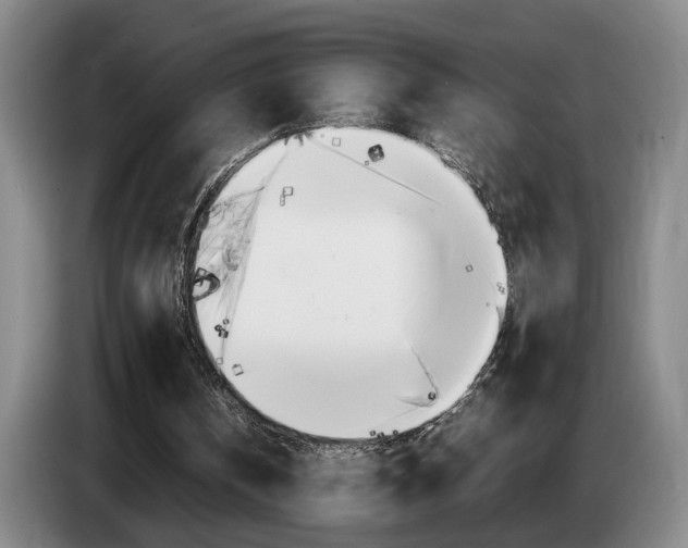 X0000085310146200703091101