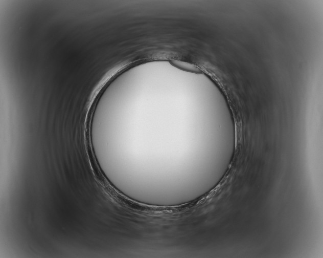 X0000085310147200703091101