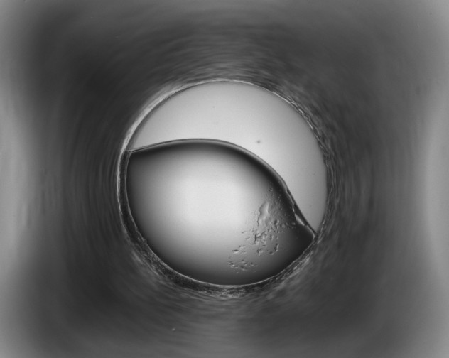X0000085310148200703091101