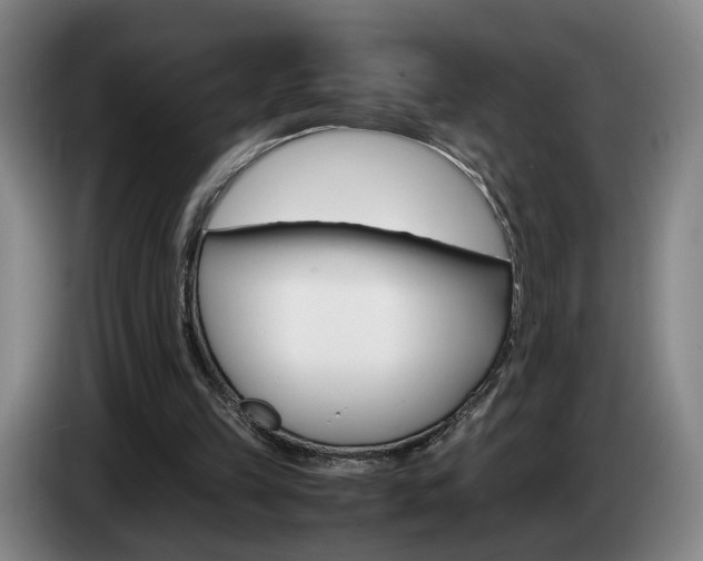 X0000085310149200703091101
