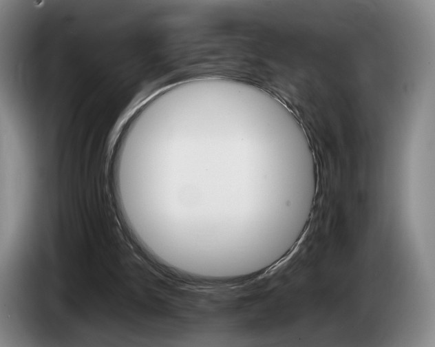 X0000085310150200703091101