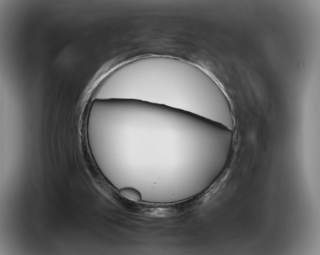 X0000085310151200703091101