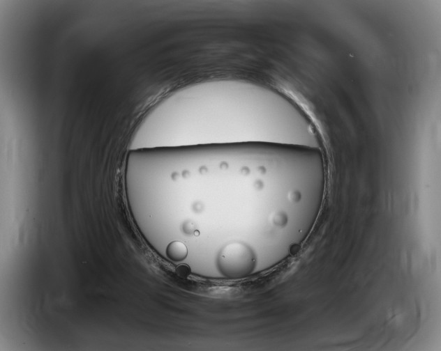 X0000085310153200703091101
