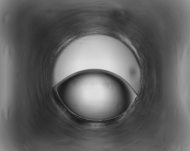 X0000085310154200703091101