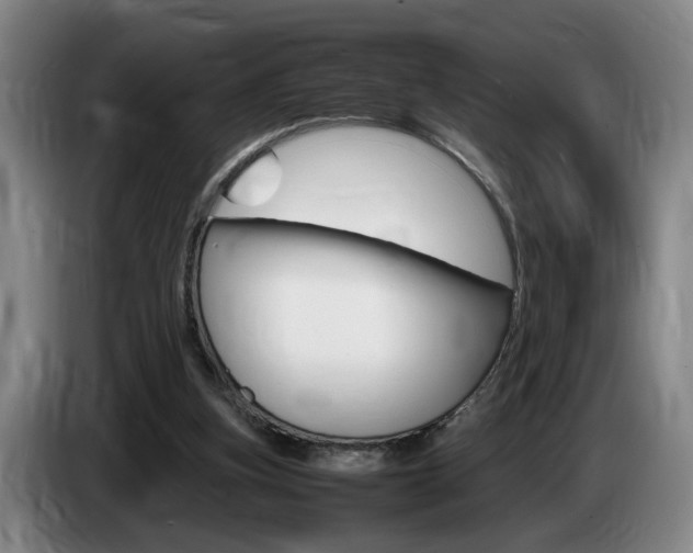 X0000085310155200703091101